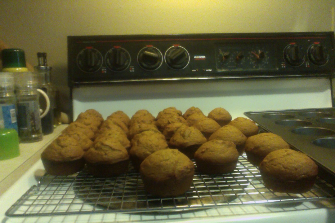 HELP! Muffins don't rise The Fresh Loaf